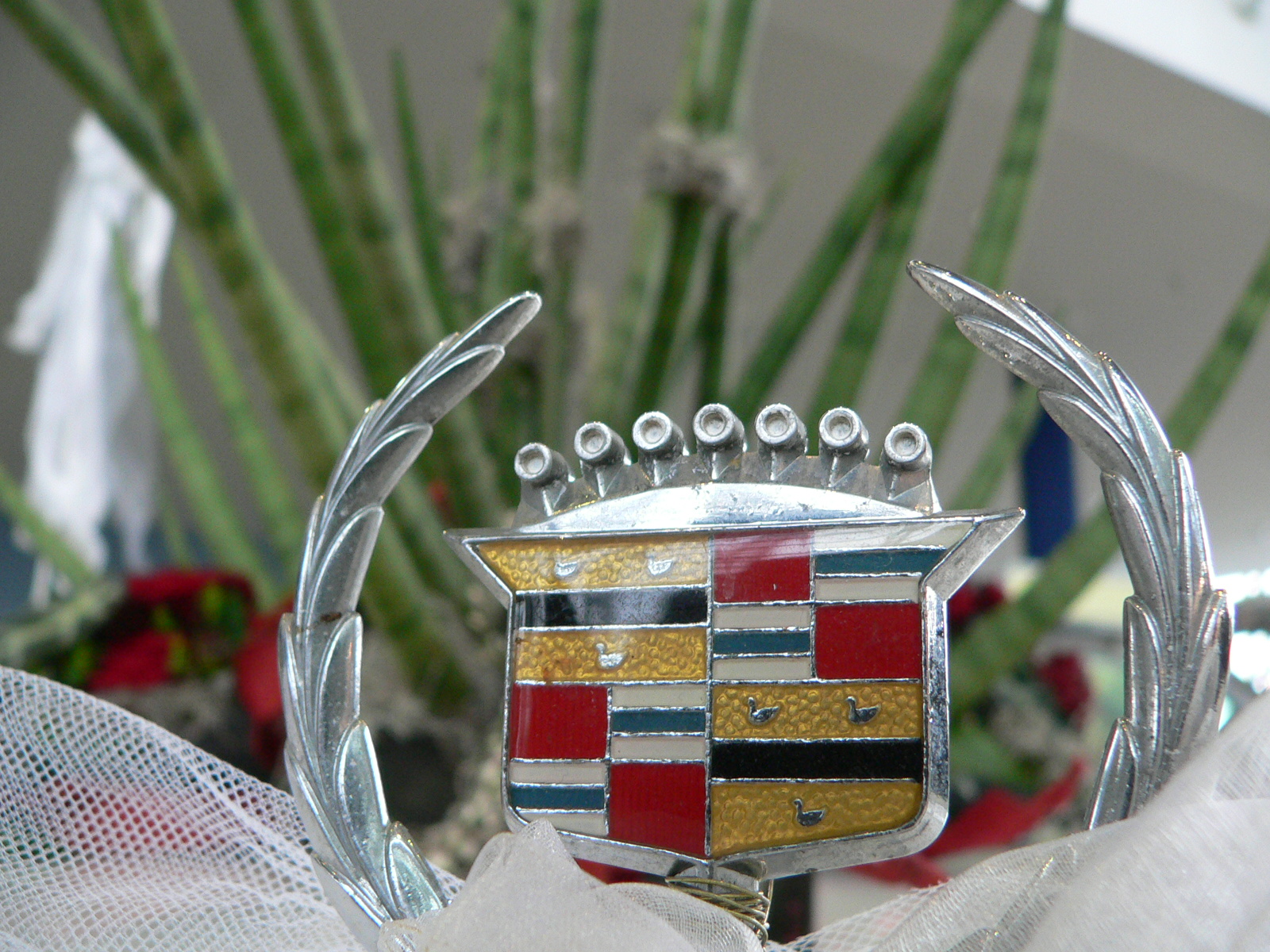 P1050054